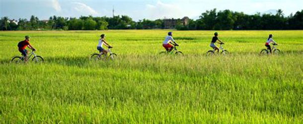hoi-an-cycle-countryside